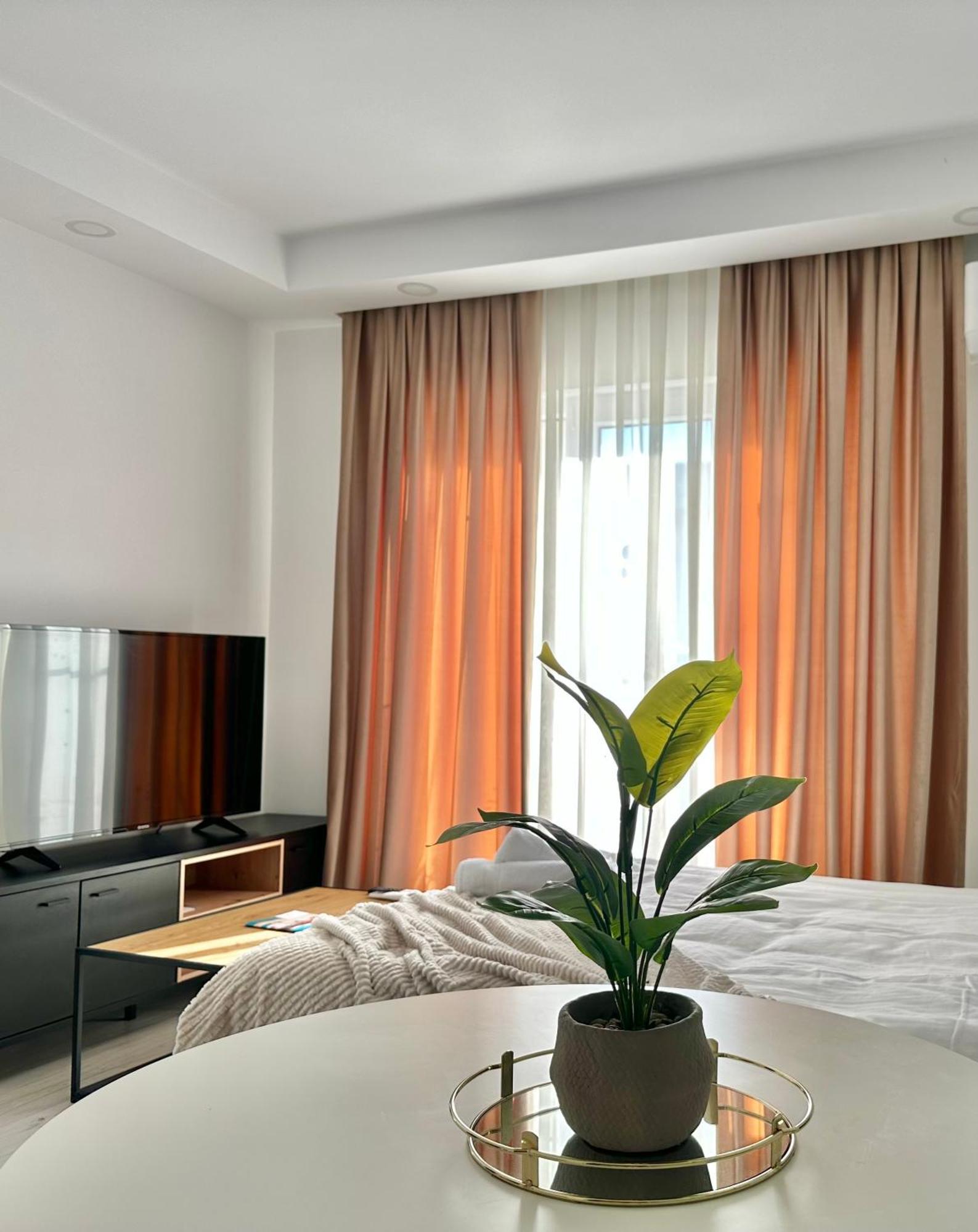 Single Room A503 Stayinn By Cosmopolis Stefanestii de Jos Exterior photo